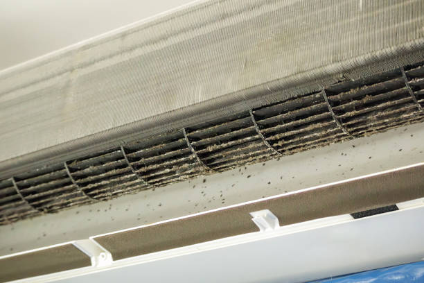 Best Ductwork Cleaning Services  in Biloxi, MS